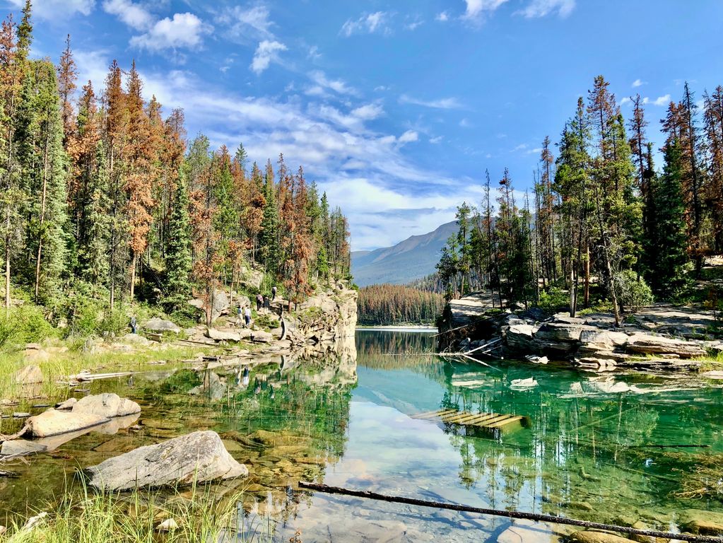 Jasper National Park 